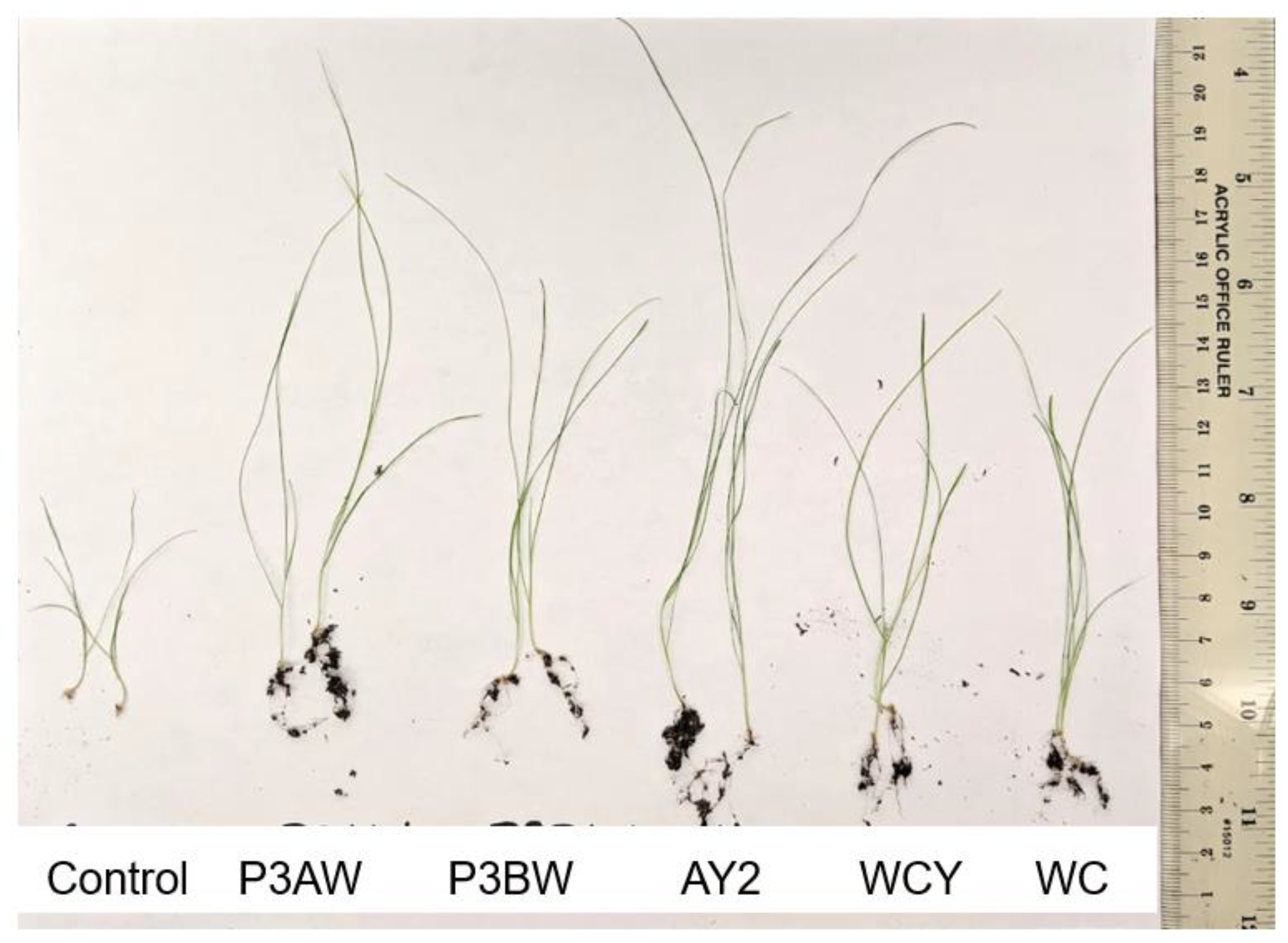 Biology 11 01790 g002