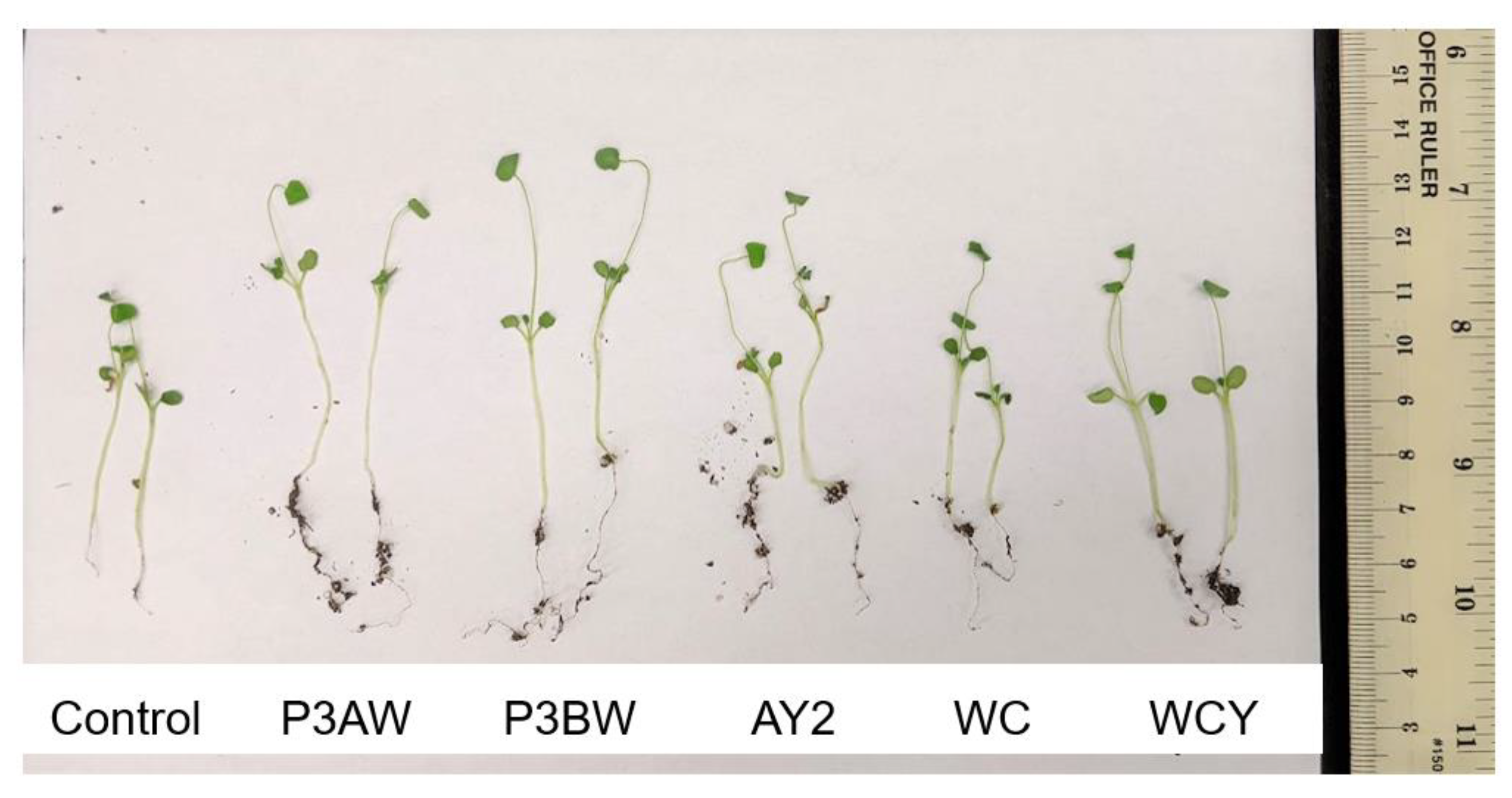 Biology 11 01790 g004