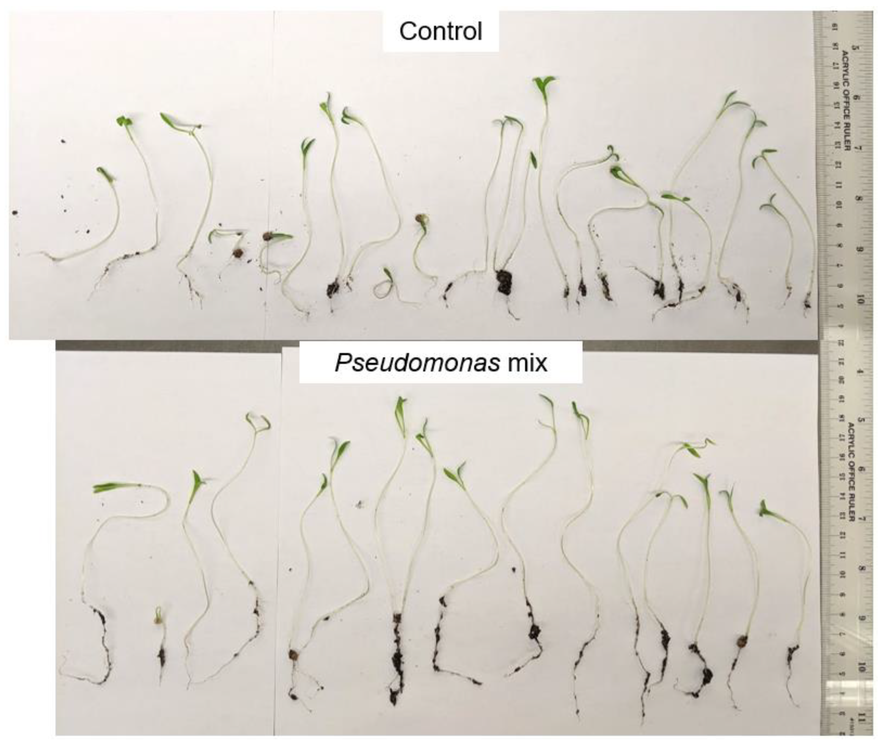 Biology 11 01790 g008