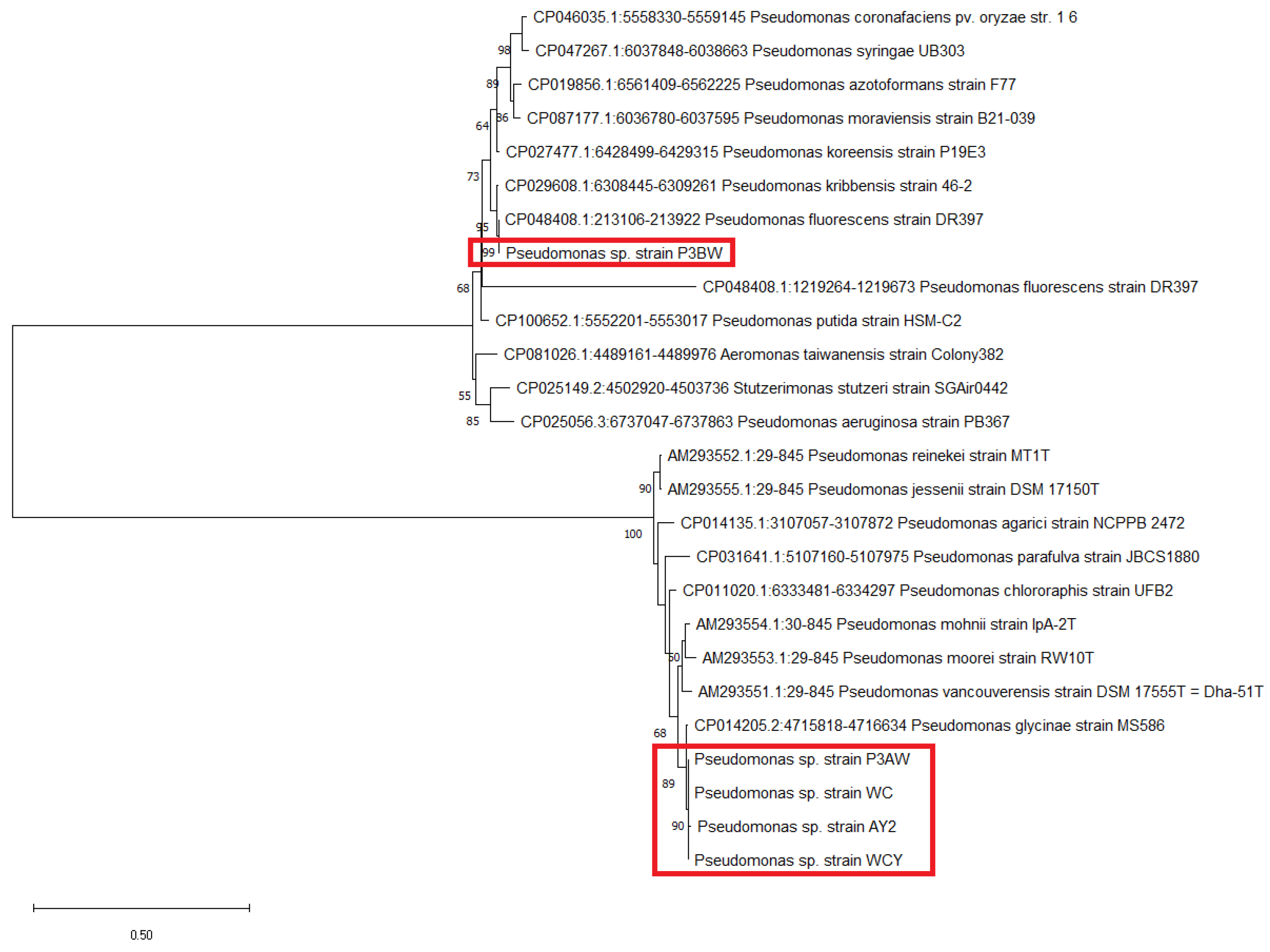 Biology 11 01790 g0a1