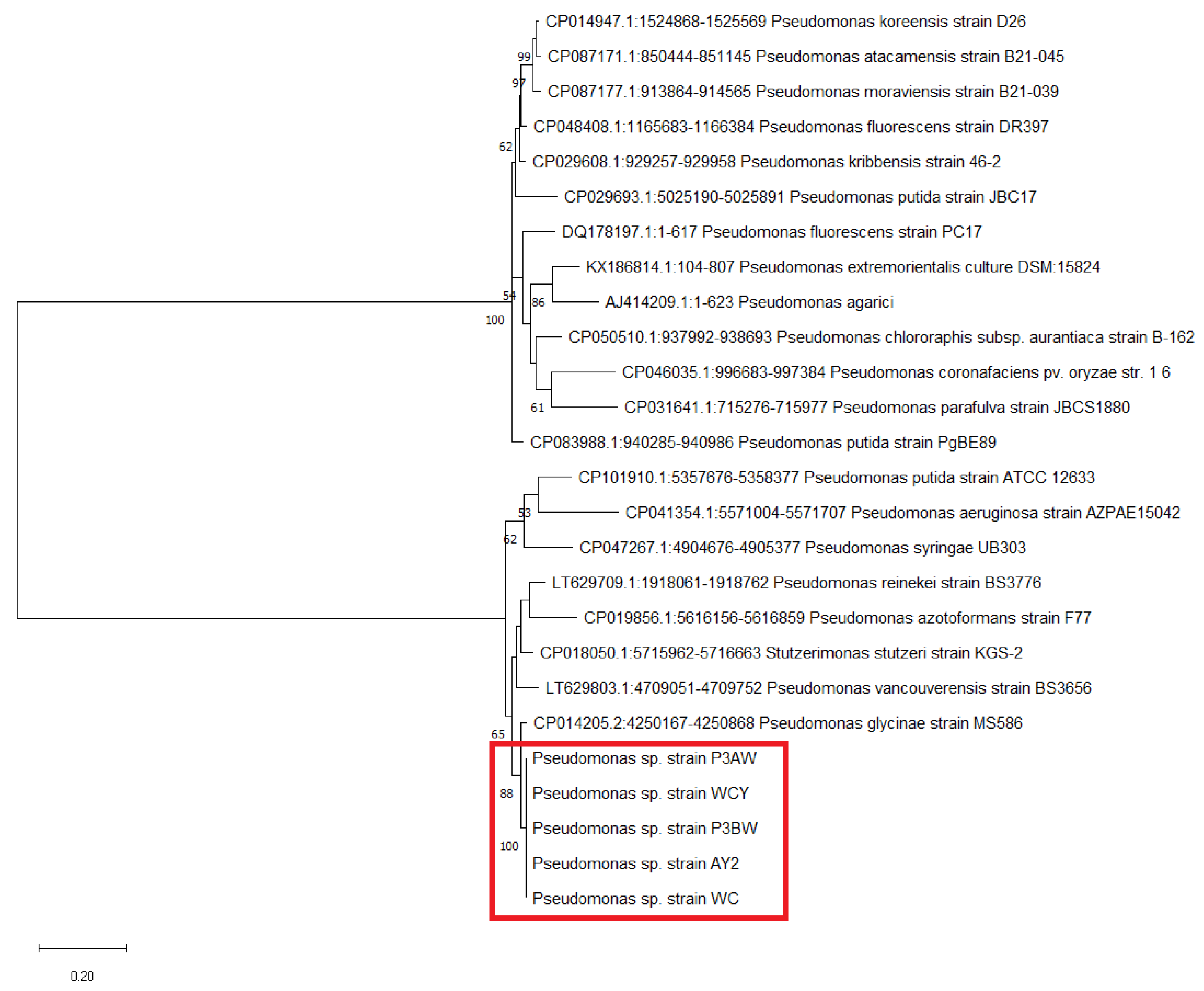 Biology 11 01790 g0a2