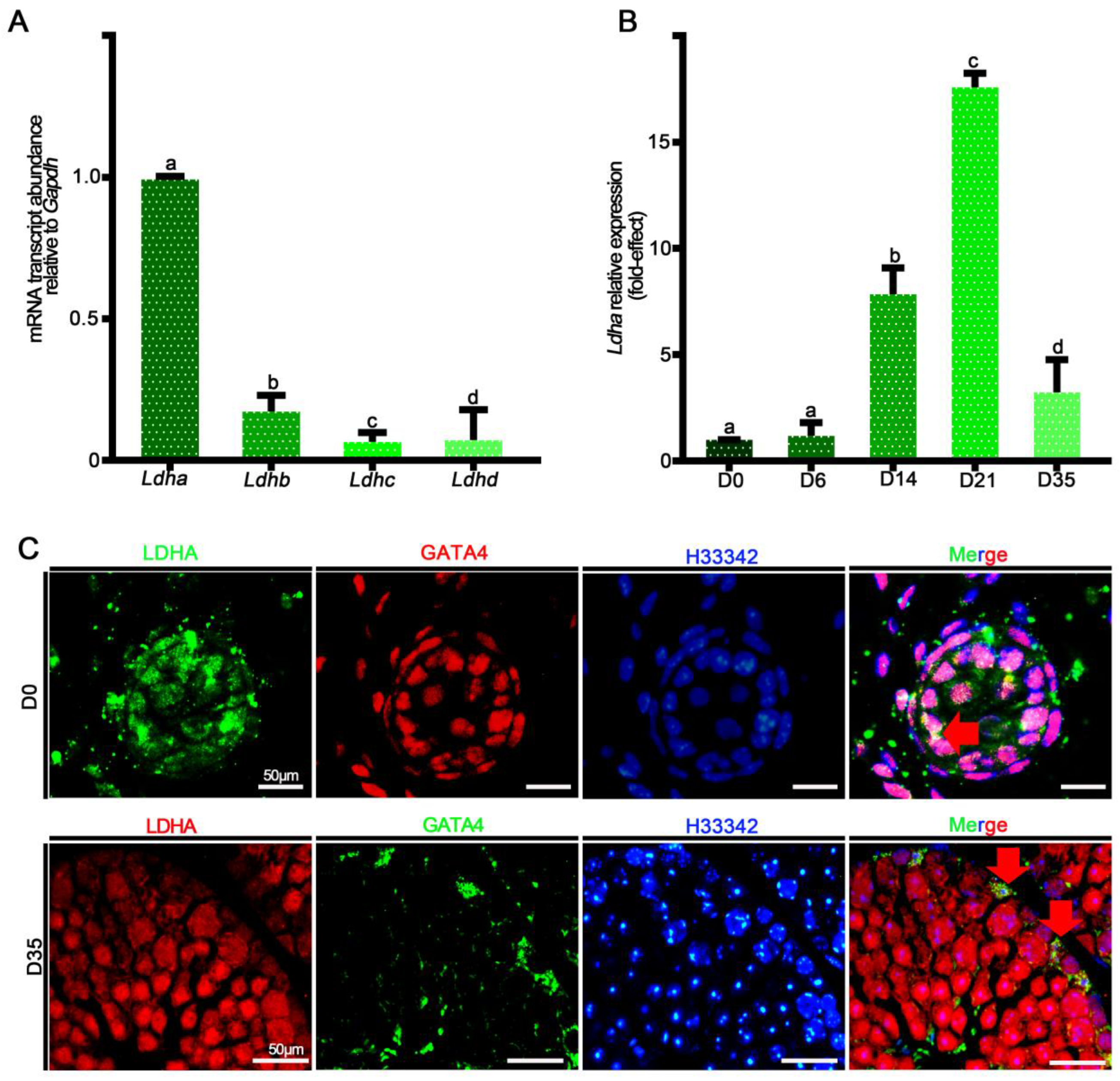 Biology 11 01791 g001