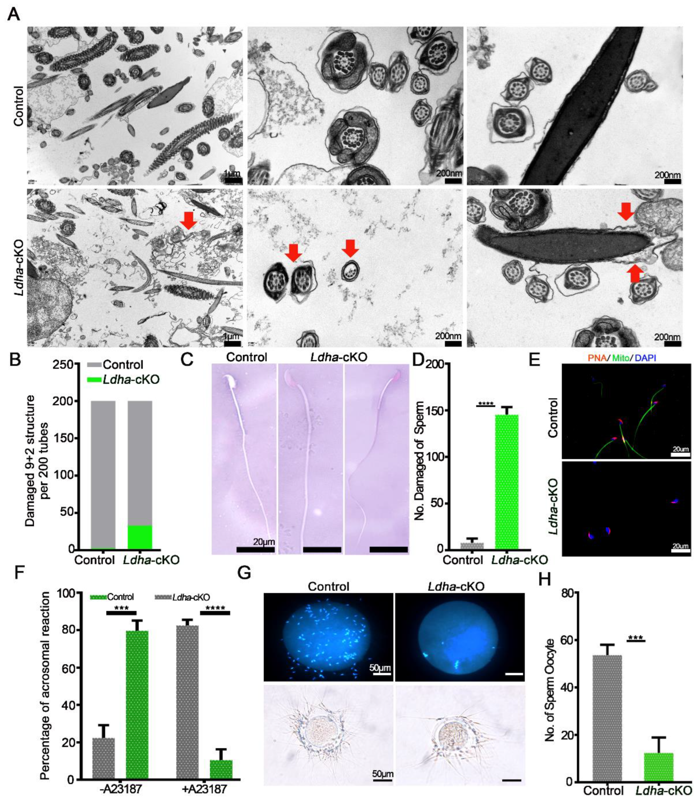 Biology 11 01791 g004