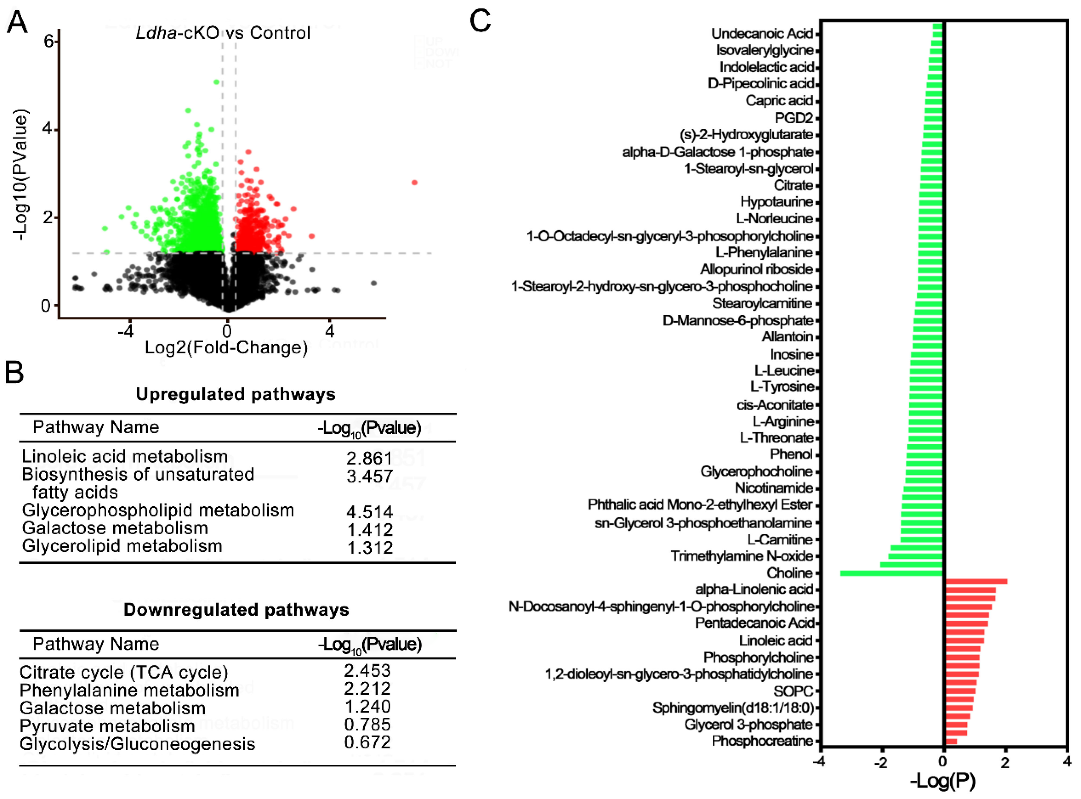 Biology 11 01791 g005