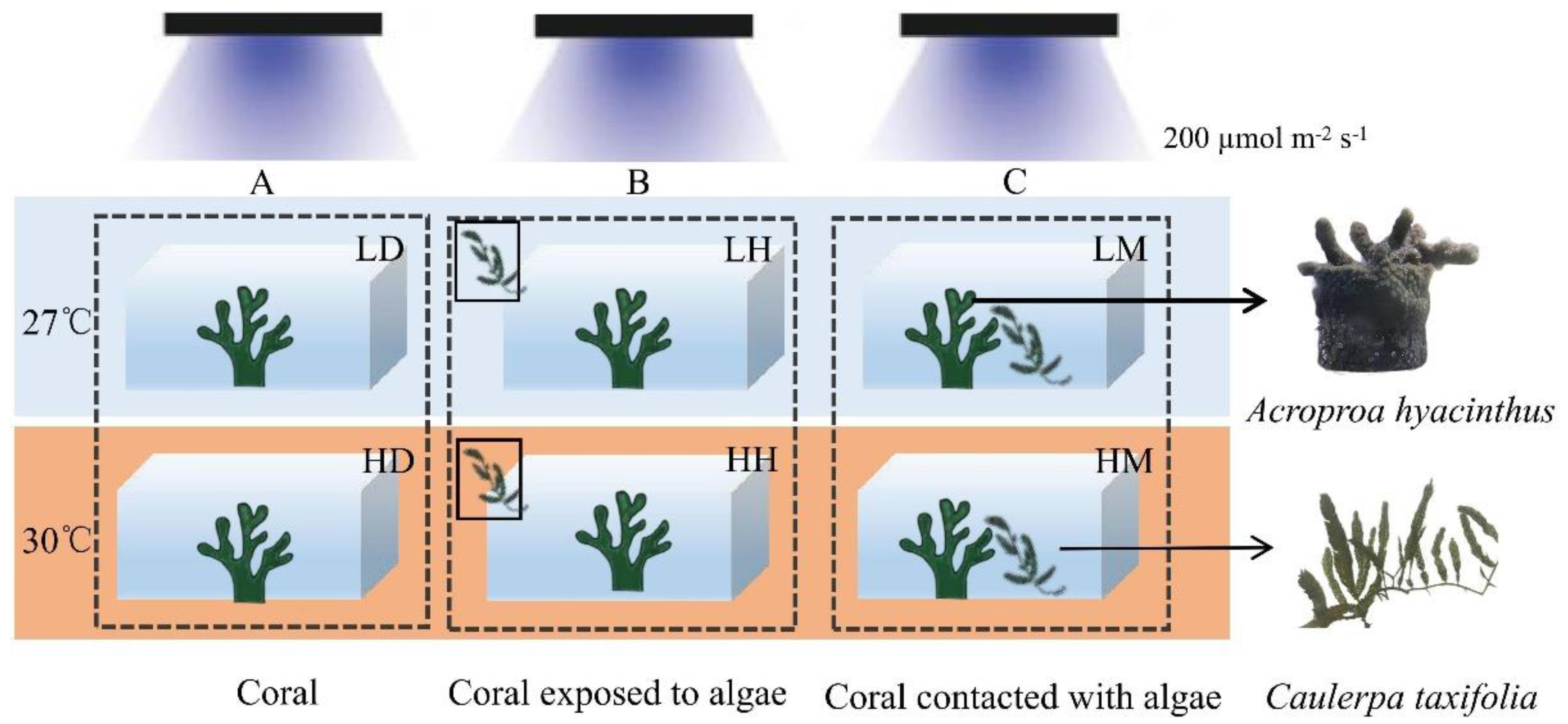 Biology 11 01792 g001 Biology 11 01792 g001