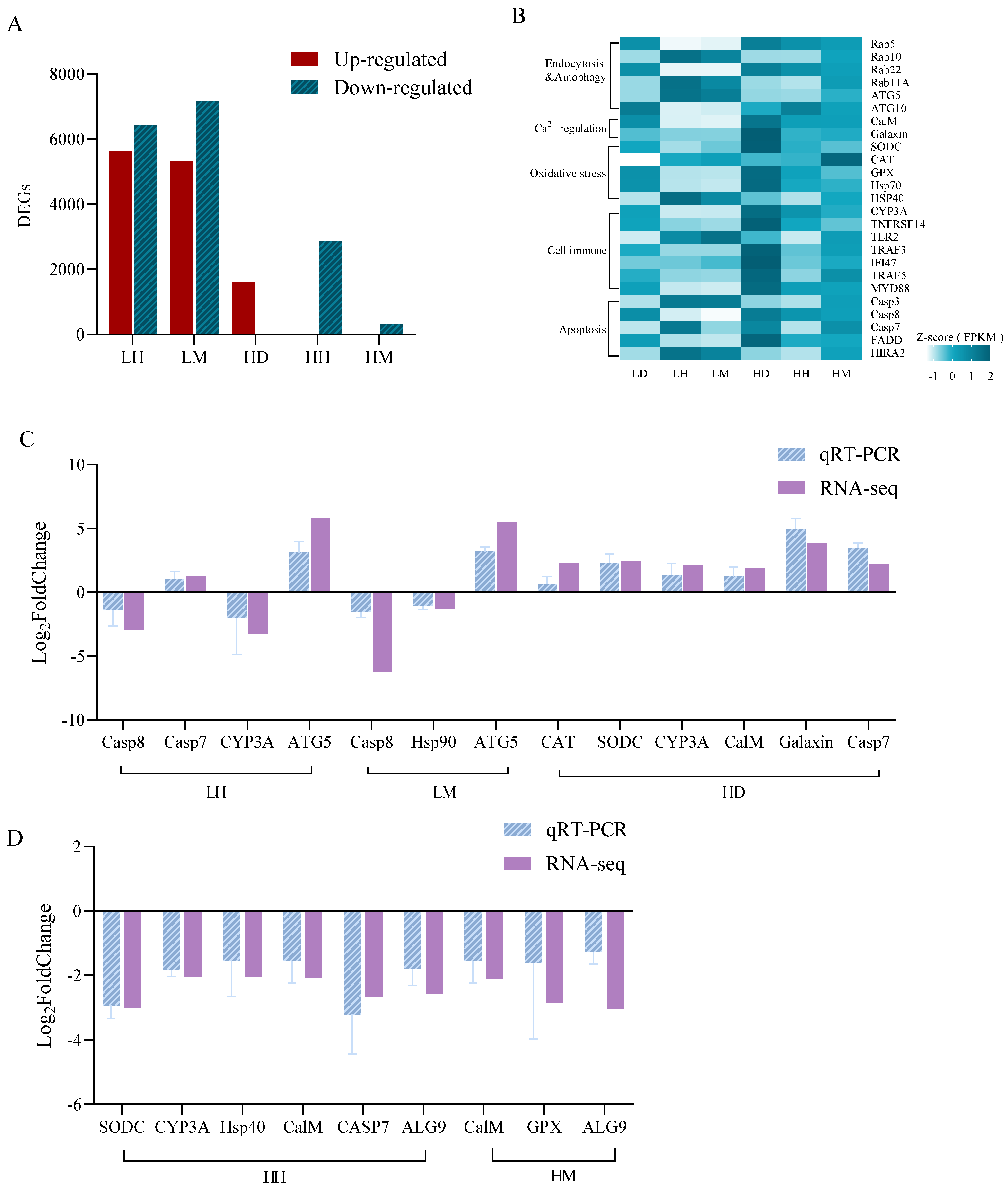 Biology 11 01792 g003 Biology 11 01792 g003