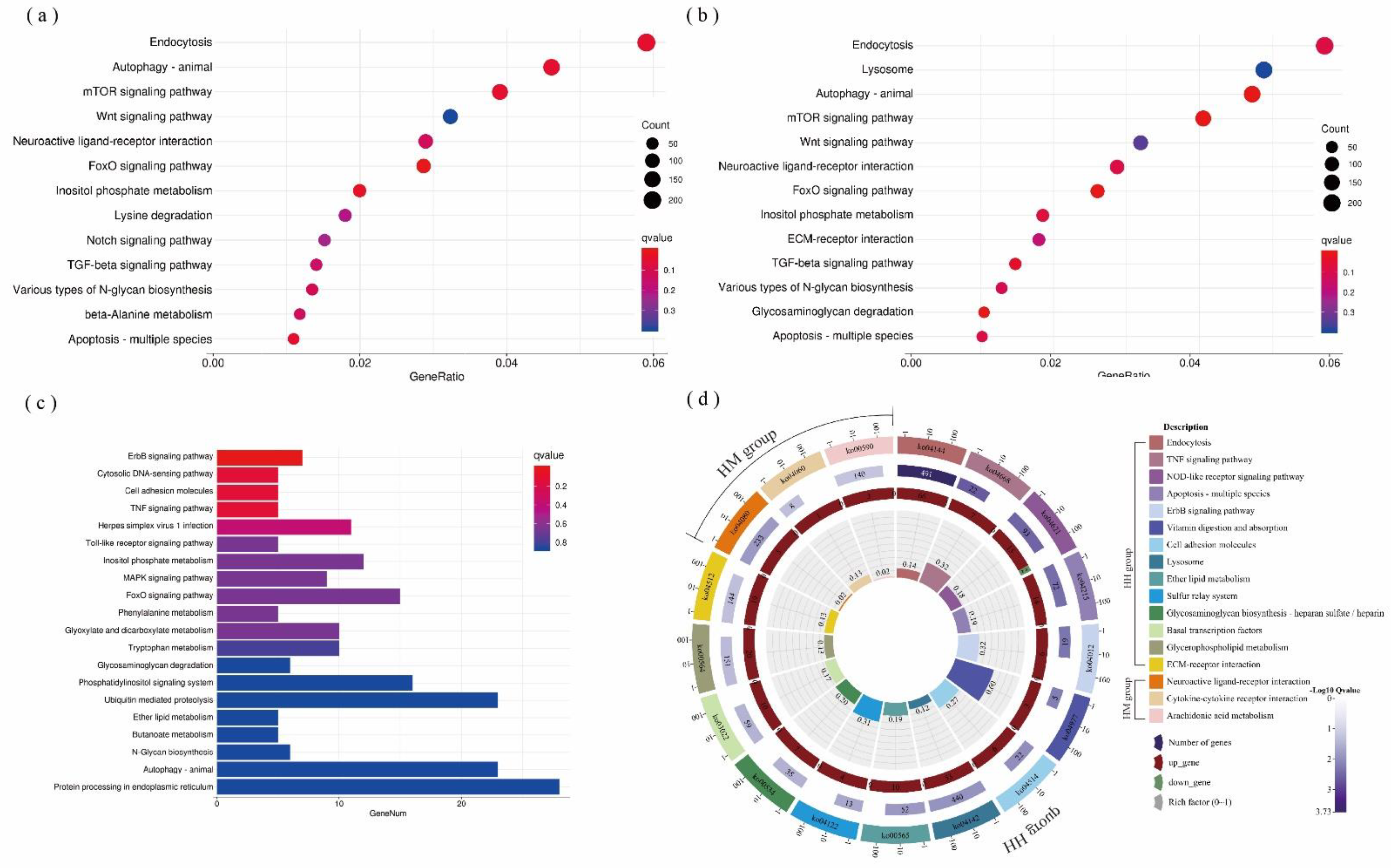 Biology 11 01792 g004 Biology 11 01792 g004
