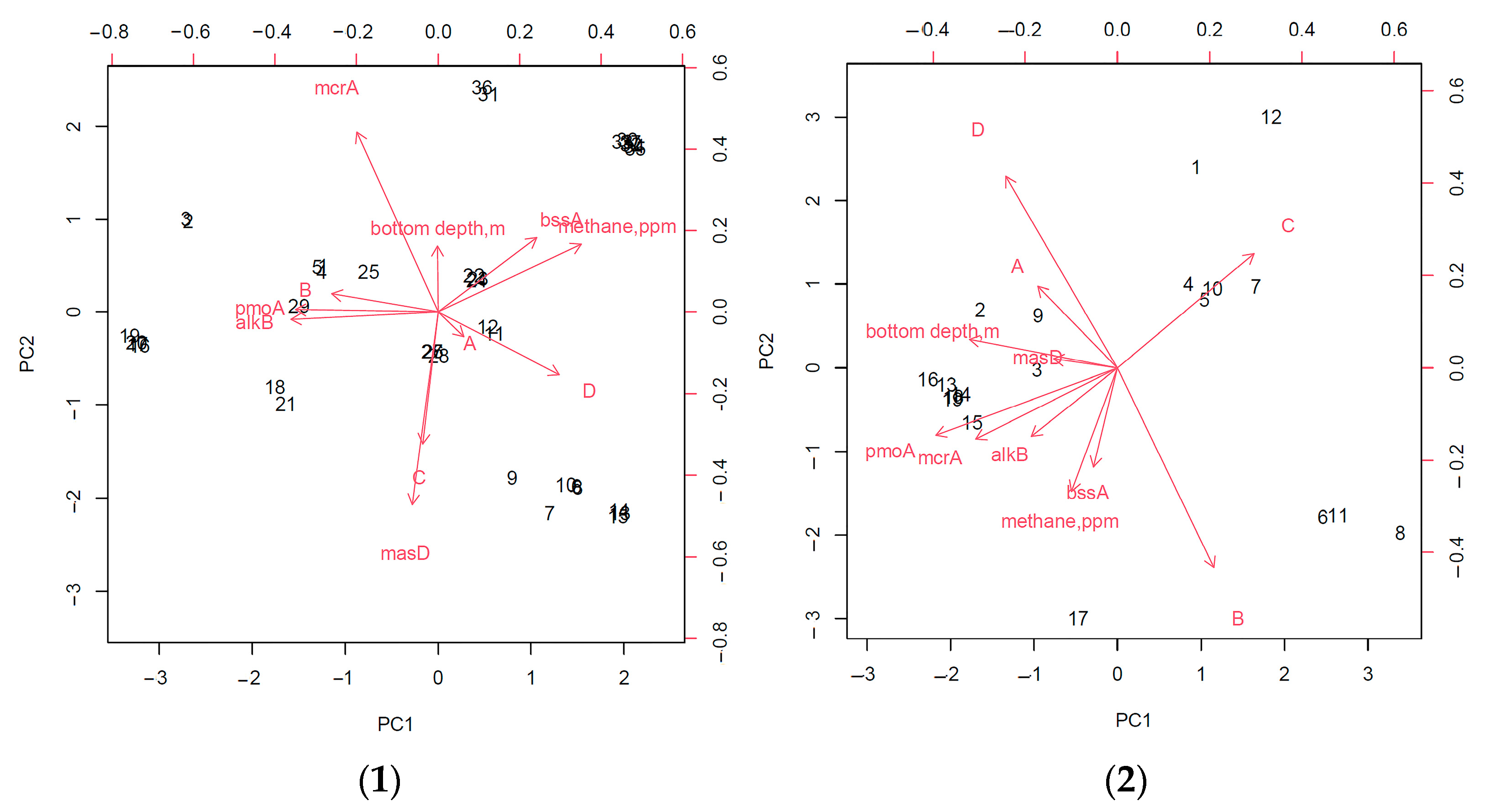 Biology 11 01802 g008