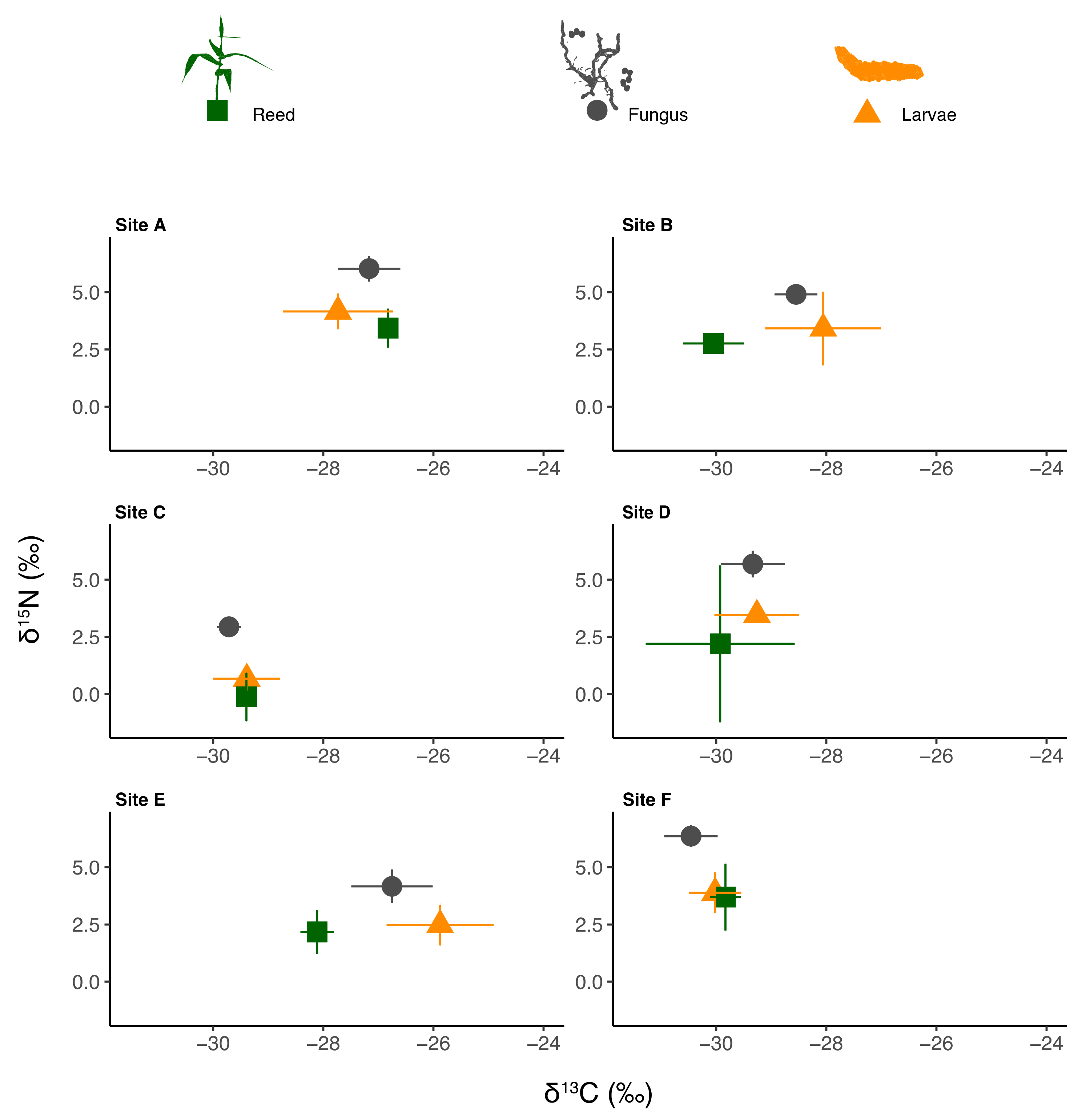 Biology 11 01805 g002 Biology 11 01805 g002