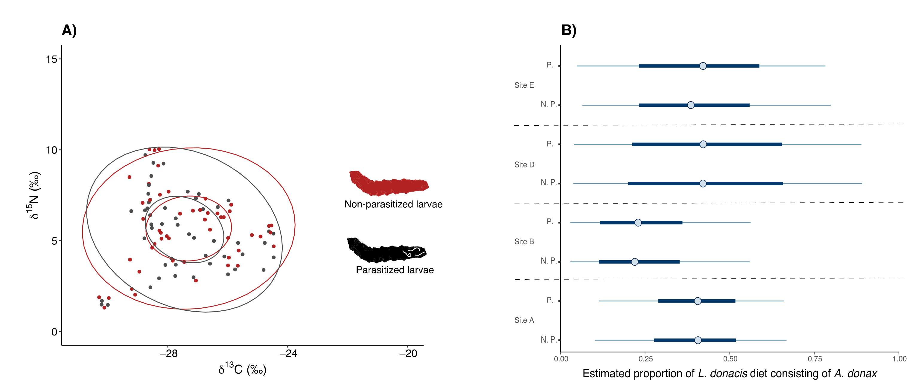 Biology 11 01805 g004 Biology 11 01805 g004