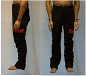 Biology 11 01813 i017 Biology 11 01813 i017