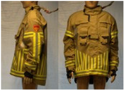 Biology 11 01813 i022 Biology 11 01813 i022