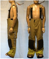 Biology 11 01813 i023 Biology 11 01813 i023