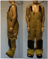 Biology 11 01813 i024 Biology 11 01813 i024