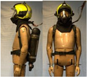 Biology 11 01813 i036 Biology 11 01813 i036