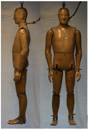 Biology 11 01813 i039 Biology 11 01813 i039