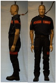 Biology 11 01813 i041 Biology 11 01813 i041