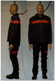 Biology 11 01813 i042 Biology 11 01813 i042