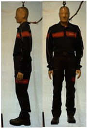 Biology 11 01813 i043 Biology 11 01813 i043