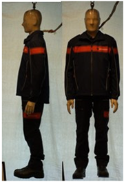 Biology 11 01813 i044 Biology 11 01813 i044