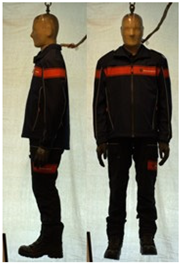 Biology 11 01813 i045 Biology 11 01813 i045