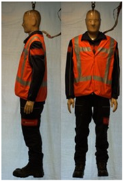 Biology 11 01813 i046 Biology 11 01813 i046