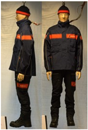 Biology 11 01813 i047 Biology 11 01813 i047