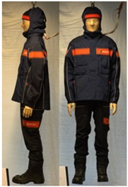 Biology 11 01813 i048 Biology 11 01813 i048