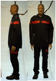 Biology 11 01813 i050 Biology 11 01813 i050