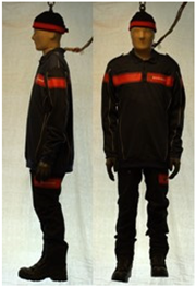 Biology 11 01813 i051 Biology 11 01813 i051