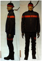 Biology 11 01813 i052 Biology 11 01813 i052