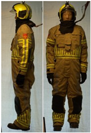 Biology 11 01813 i054 Biology 11 01813 i054