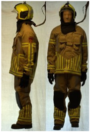 Biology 11 01813 i055 Biology 11 01813 i055