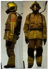 Biology 11 01813 i057 Biology 11 01813 i057