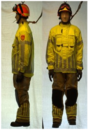 Biology 11 01813 i061 Biology 11 01813 i061