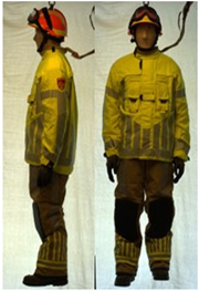 Biology 11 01813 i062 Biology 11 01813 i062