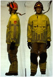 Biology 11 01813 i063 Biology 11 01813 i063