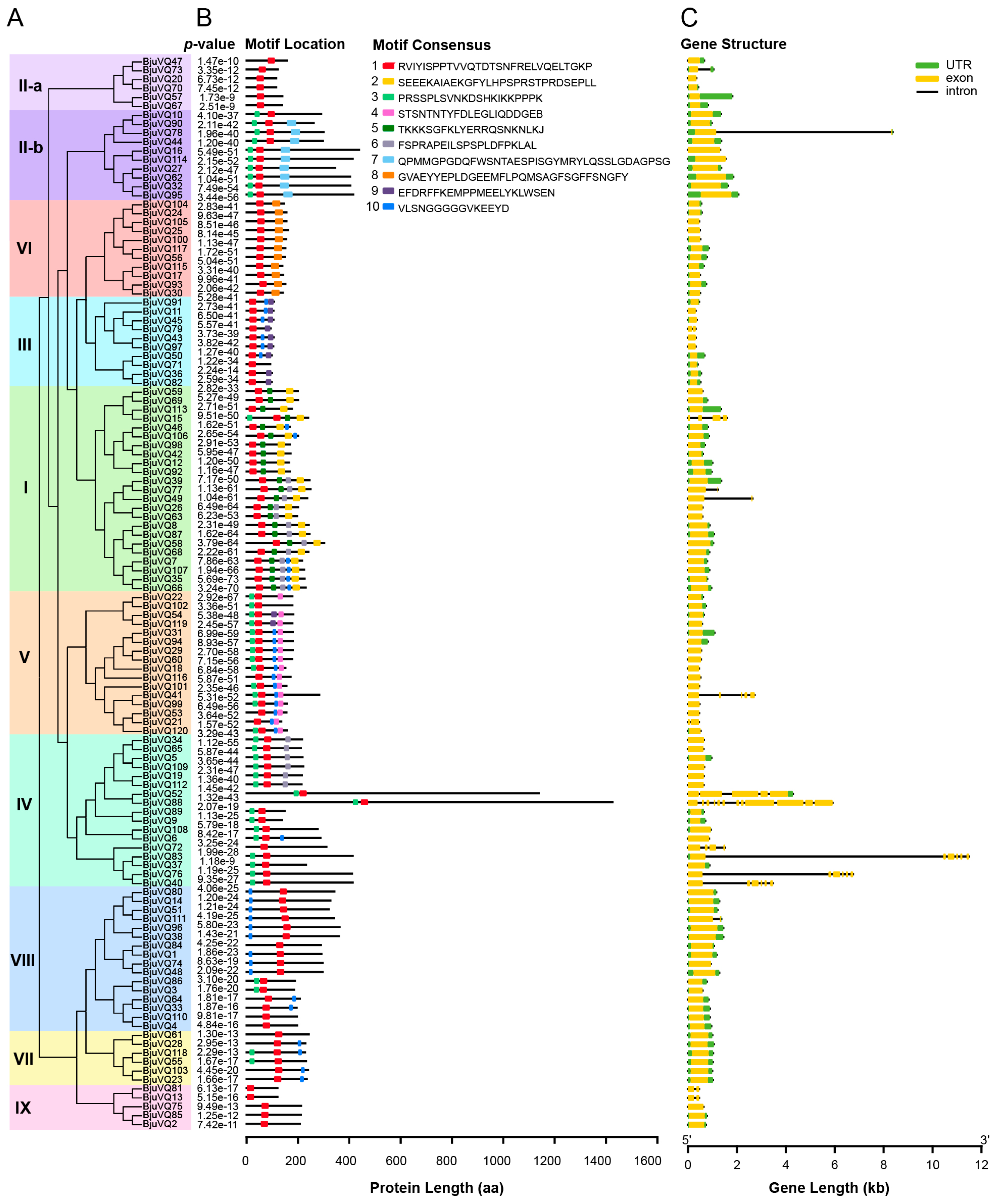 Biology 11 01814 g003 Biology 11 01814 g003