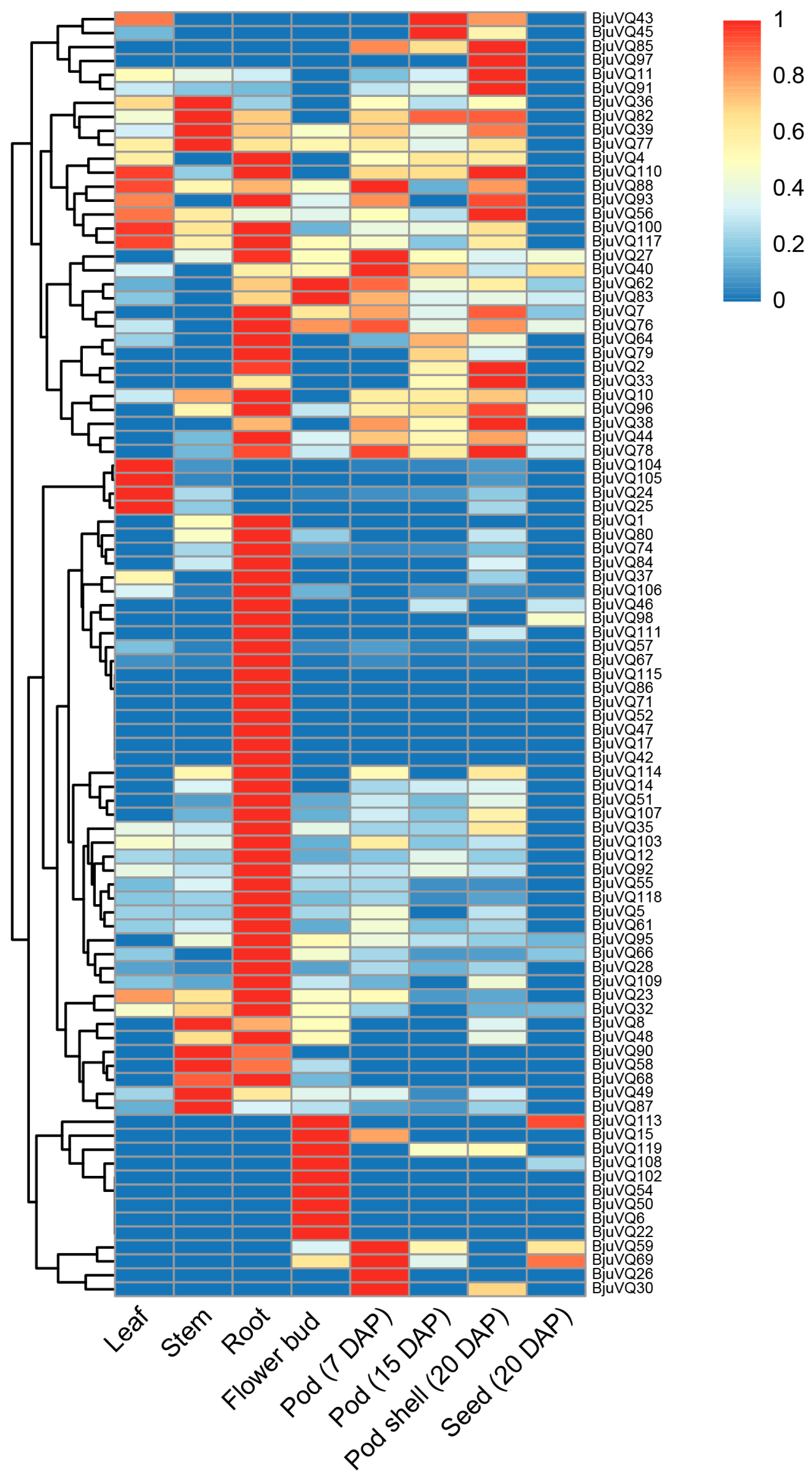 Biology 11 01814 g007 Biology 11 01814 g007