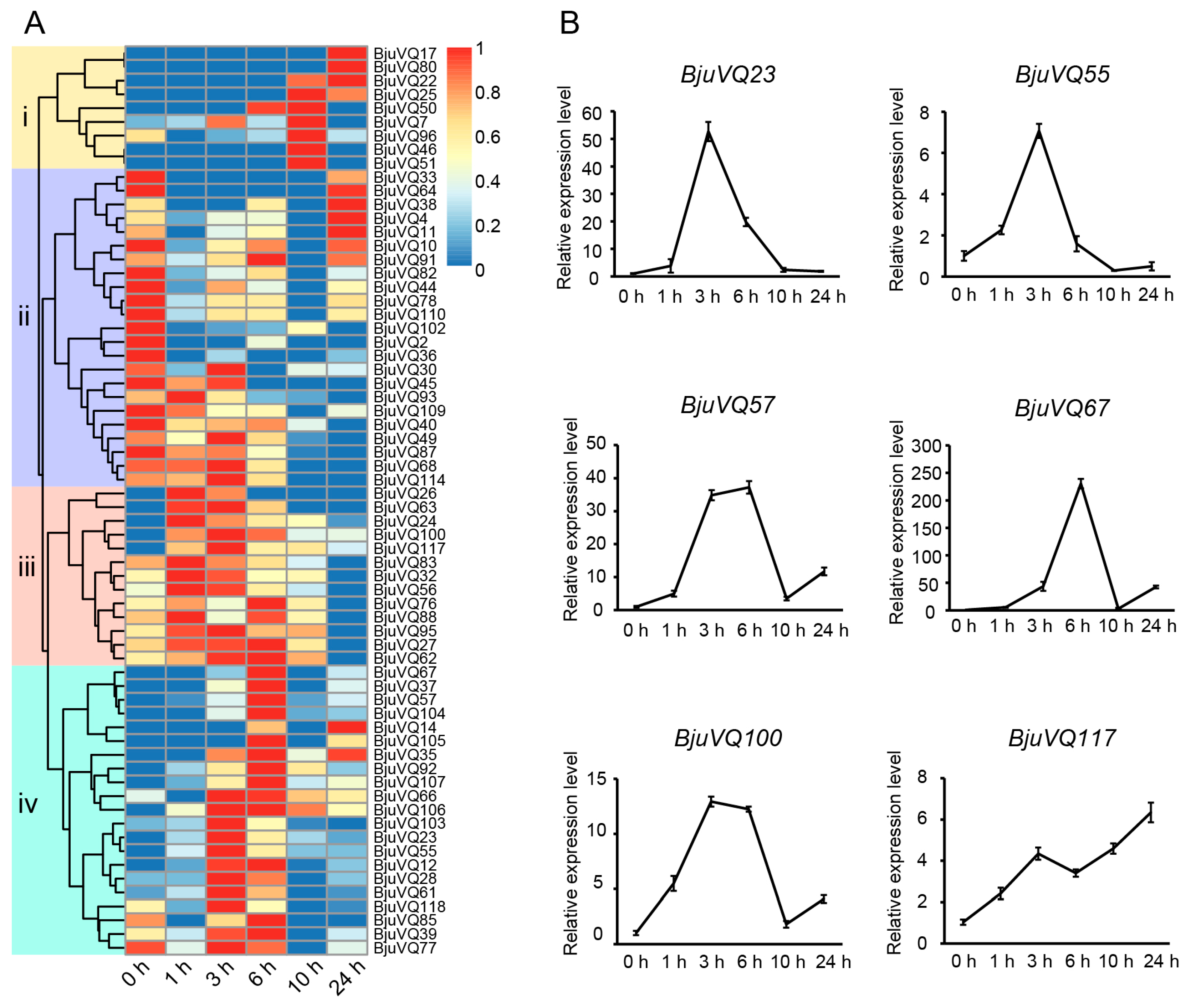 Biology 11 01814 g008 Biology 11 01814 g008