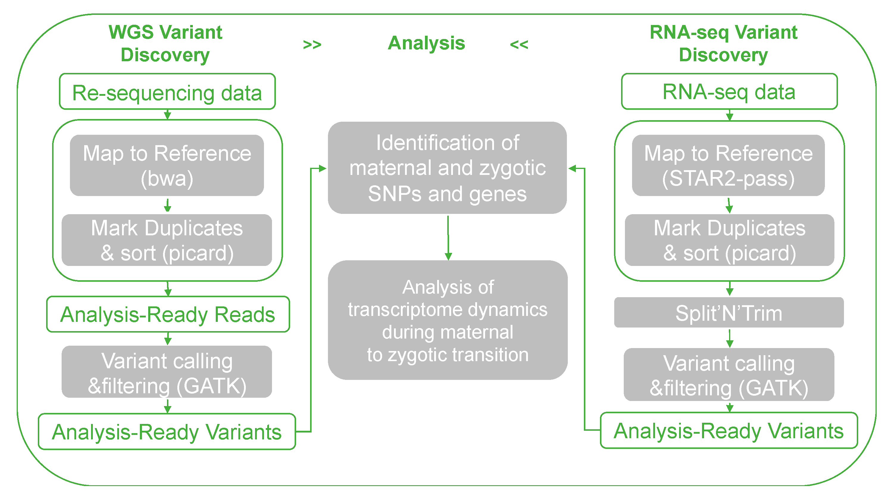 Biology 11 01818 g002 Biology 11 01818 g002