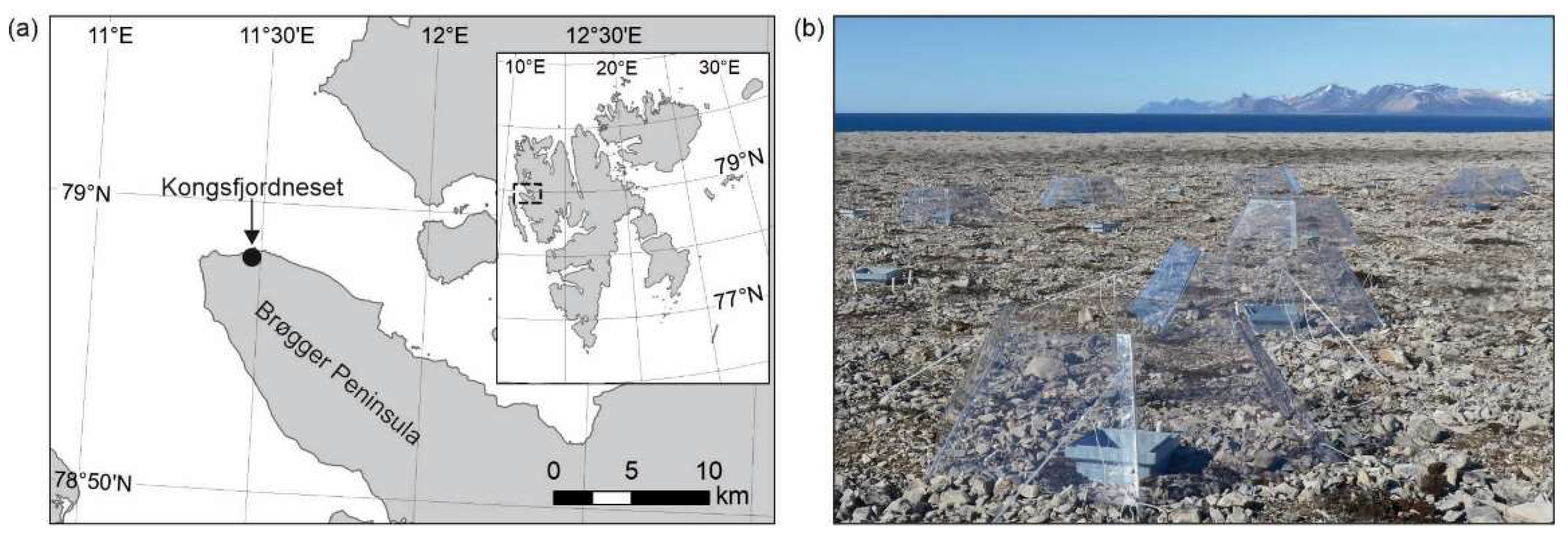 Biology 11 01819 g001 Biology 11 01819 g001