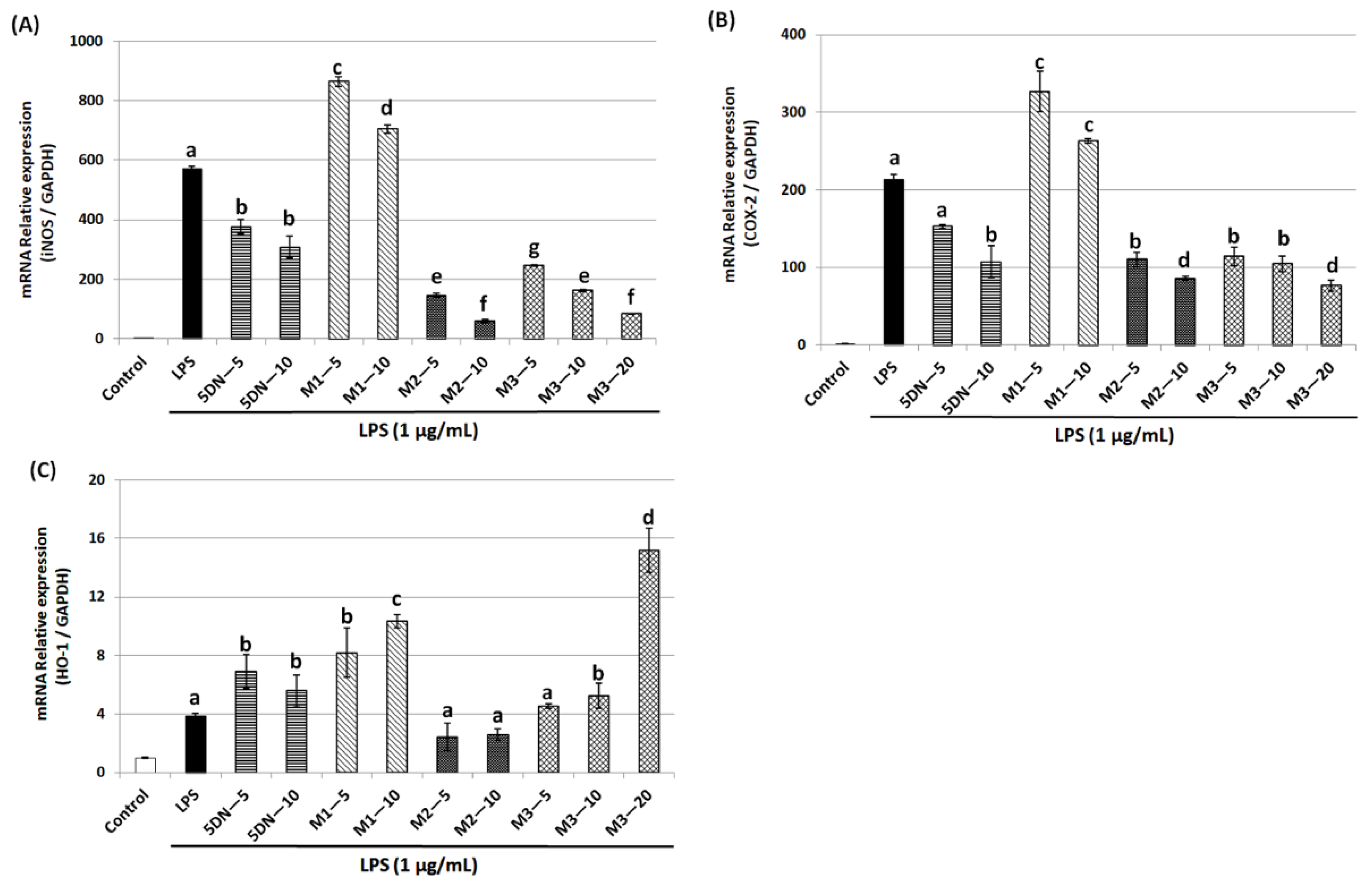 Biology 11 01820 g003 Biology 11 01820 g003