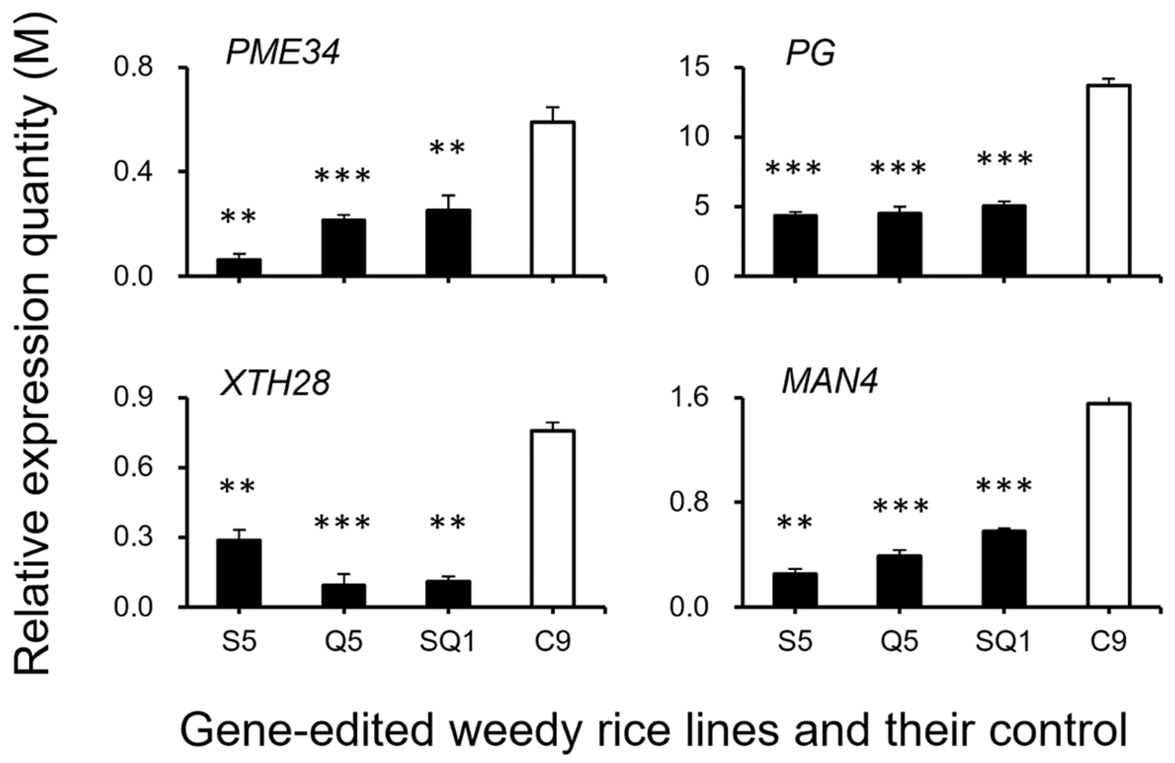 Biology 11 01823 g011