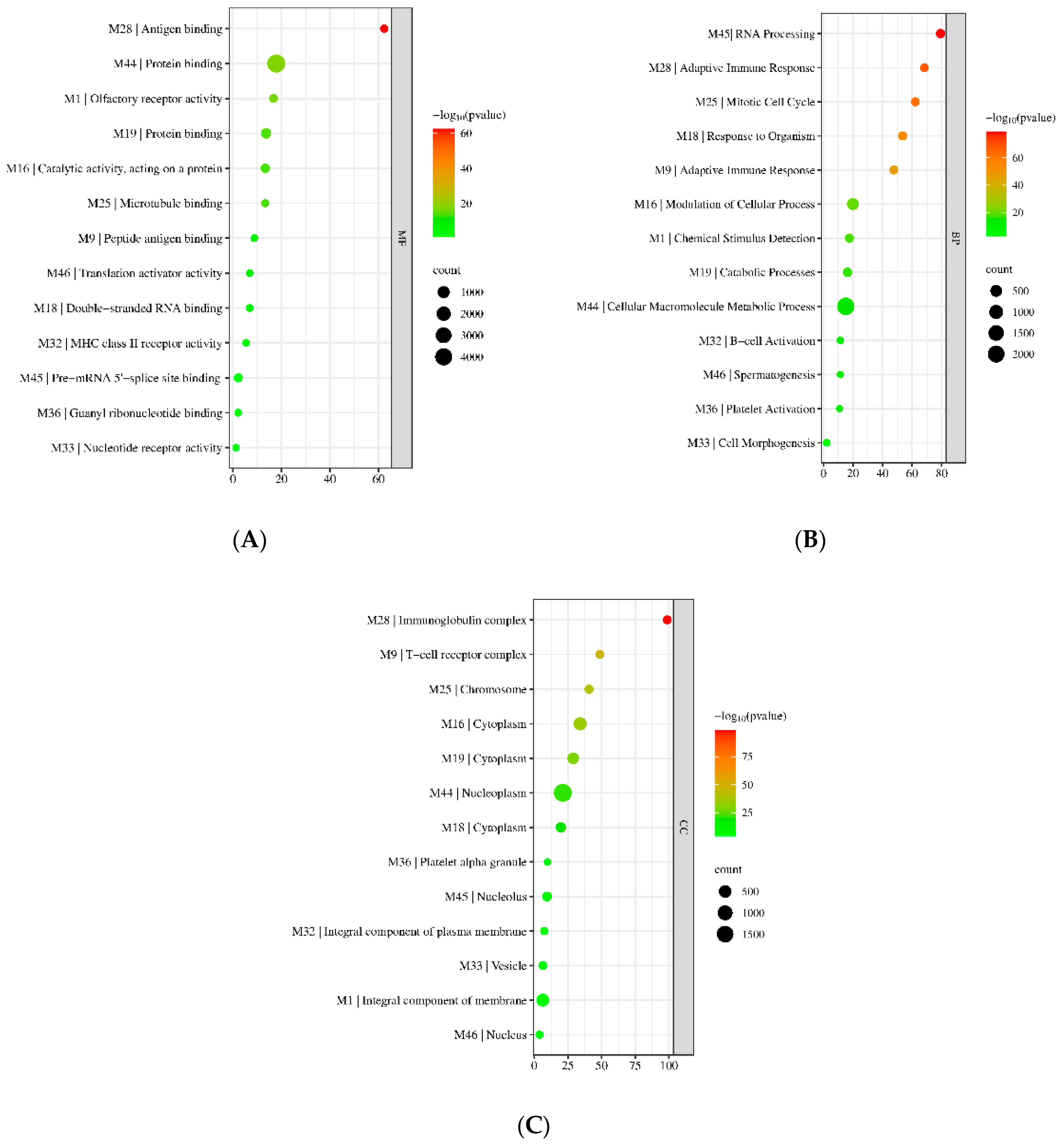 Biology 11 01827 g005 Biology 11 01827 g005