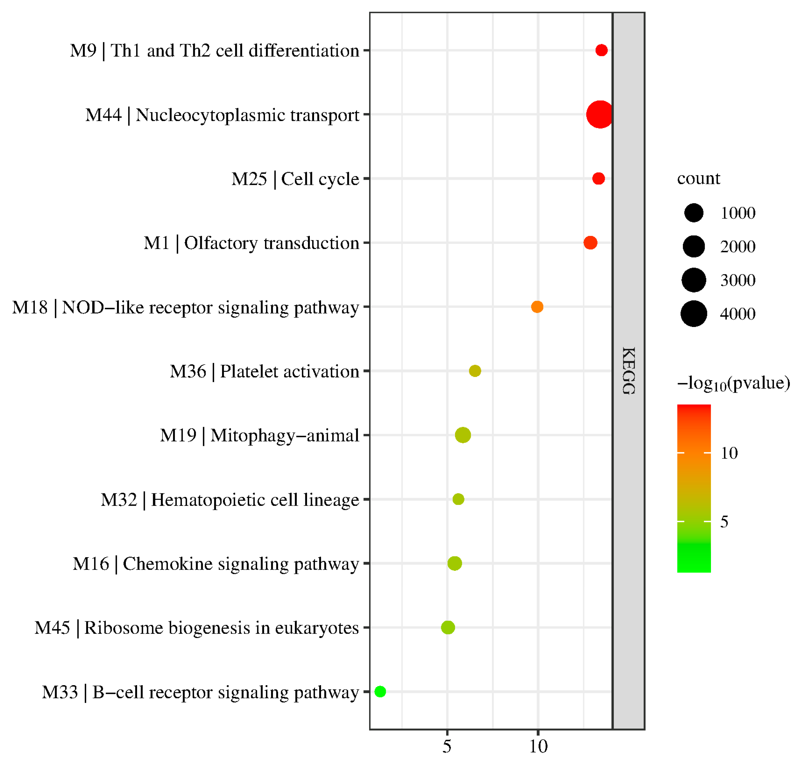 Biology 11 01827 g006 Biology 11 01827 g006