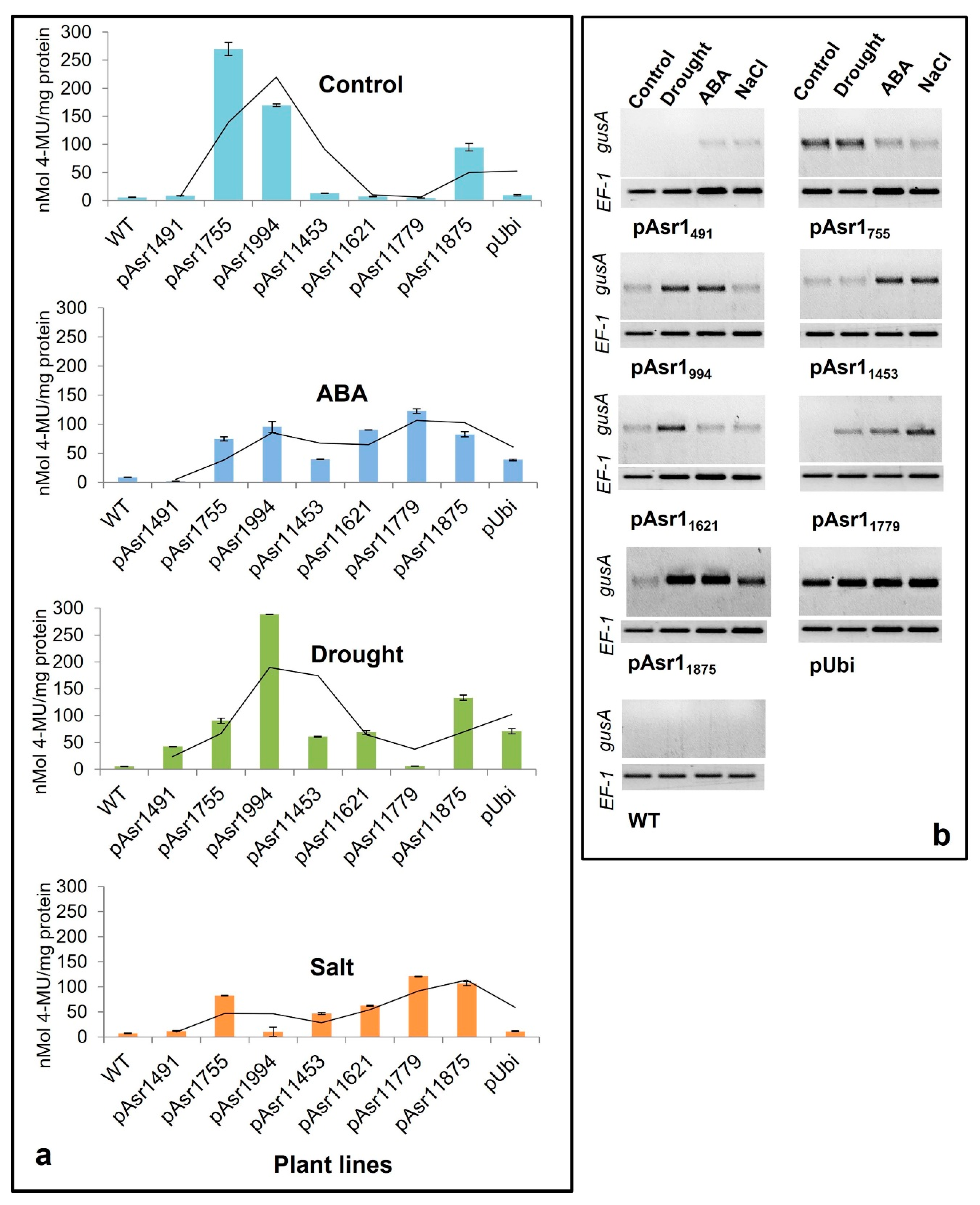 Biology 11 01828 g003 Biology 11 01828 g003