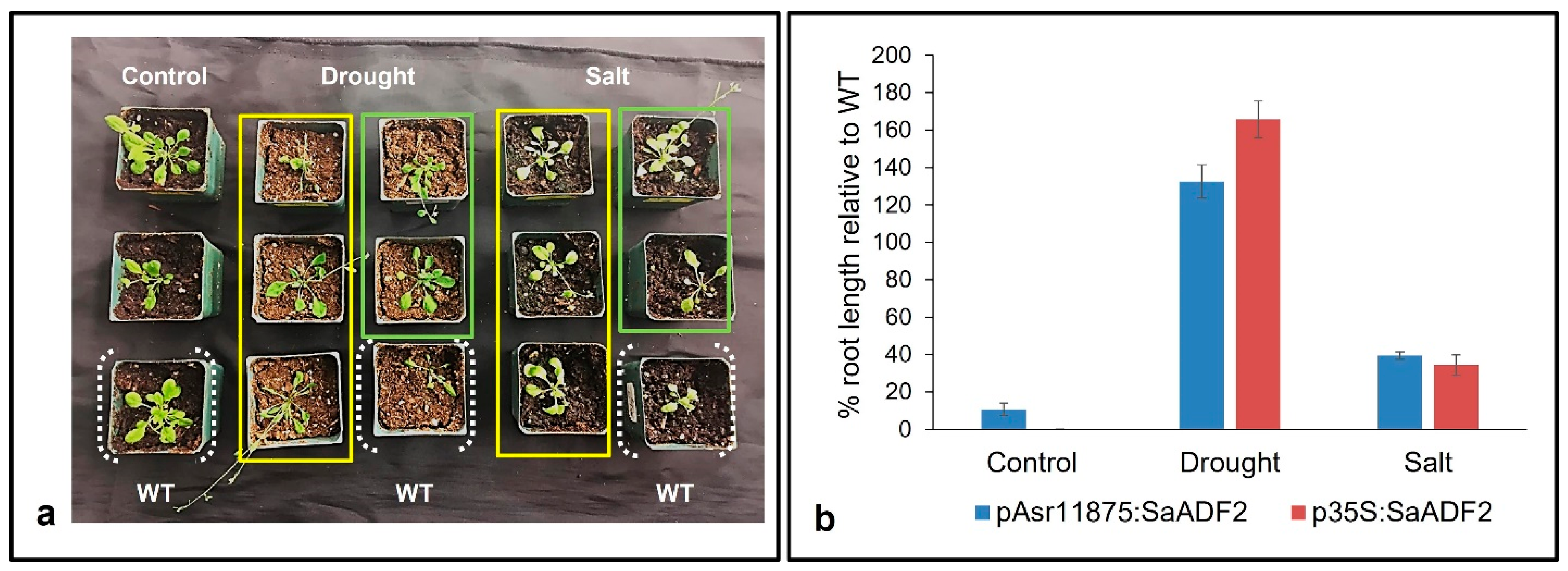 Biology 11 01828 g004 Biology 11 01828 g004