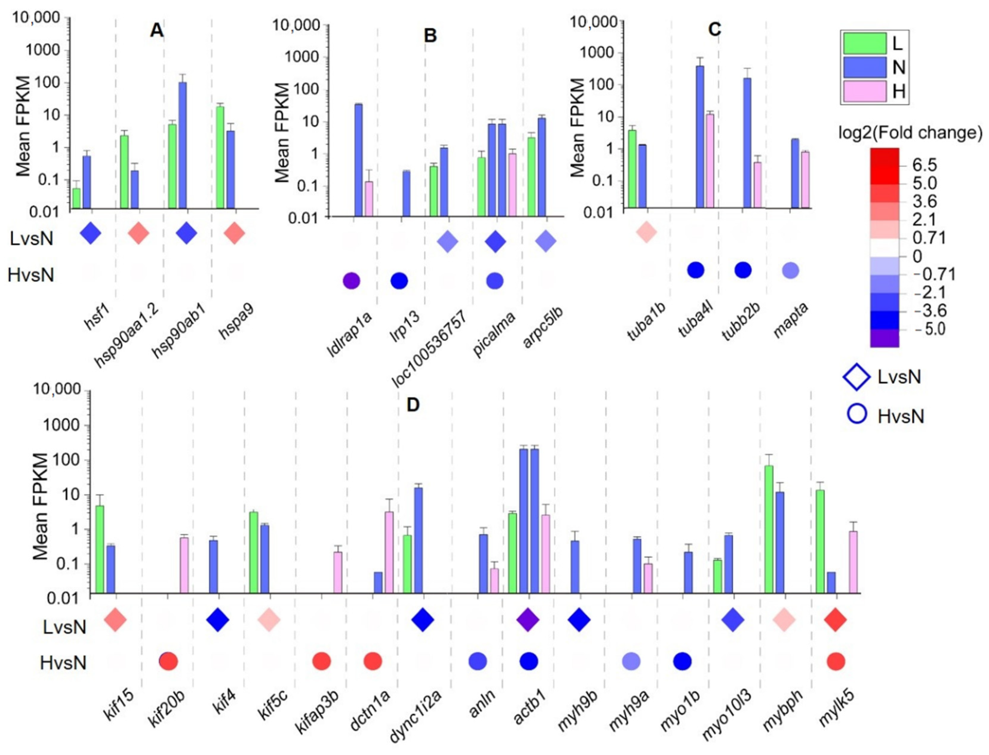 Biology 11 01829 g005 Biology 11 01829 g005
