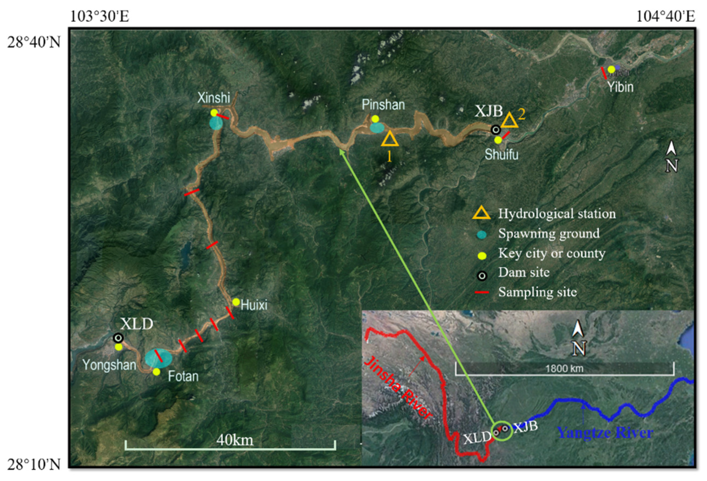 Biology 11 01829 g0a1 Biology 11 01829 g0a1